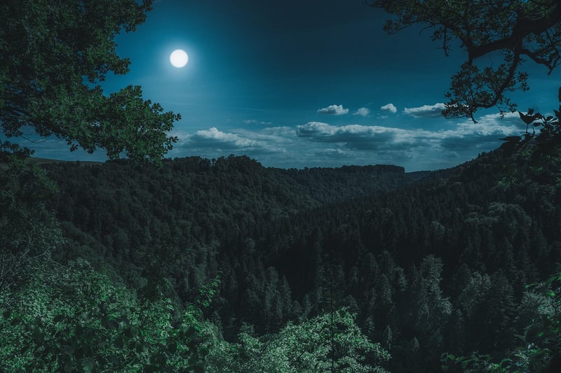 New Moon Nuptials
